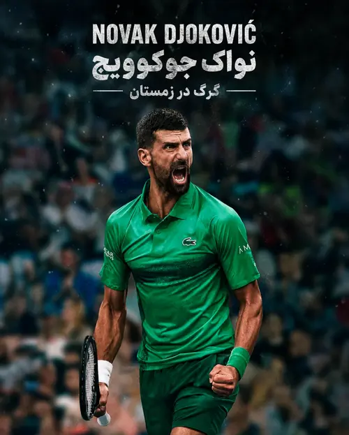 نواک جوکوویچ: گرگ در زمستان